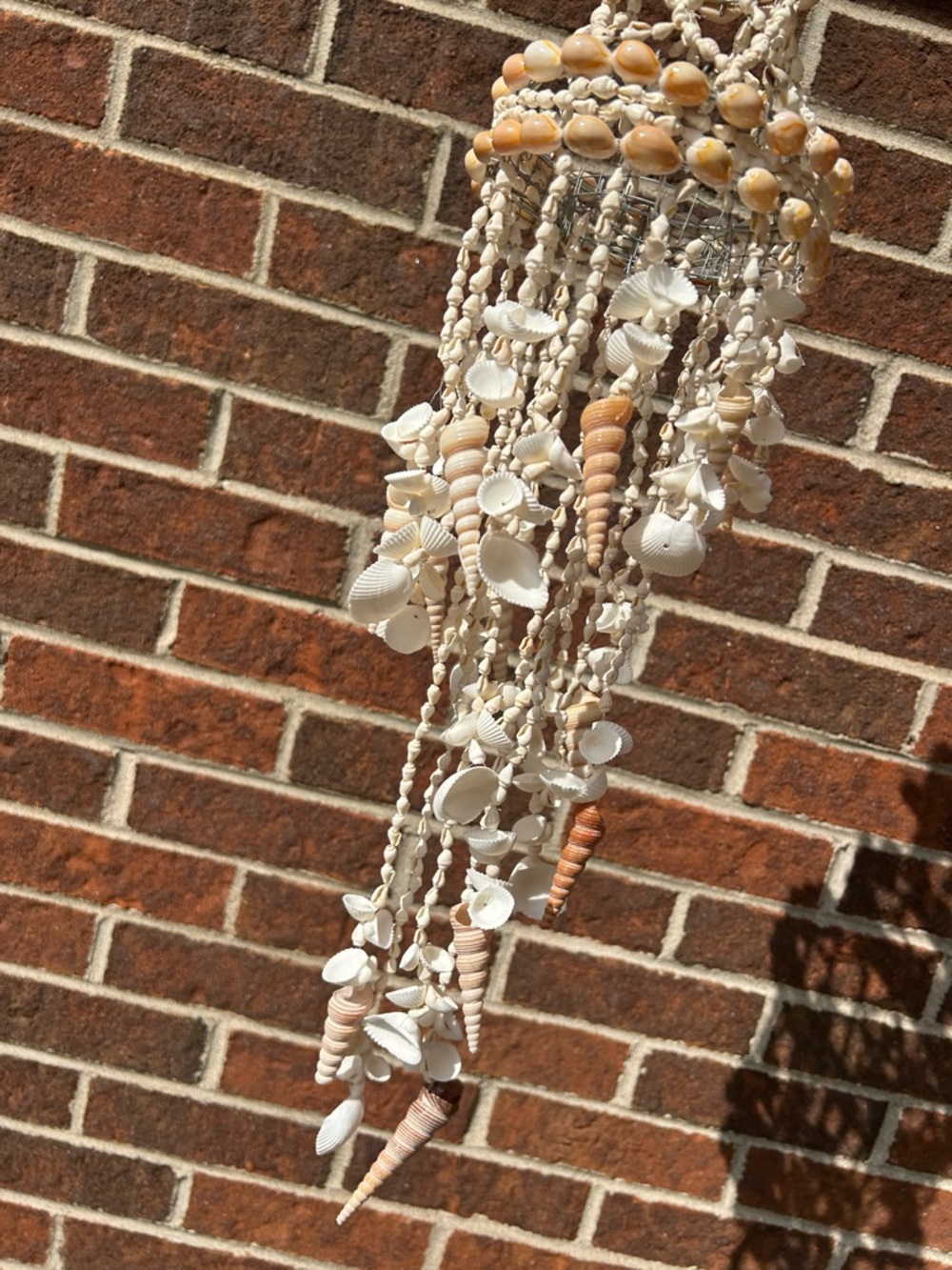 Shell chandelier - Picture 4 of 16